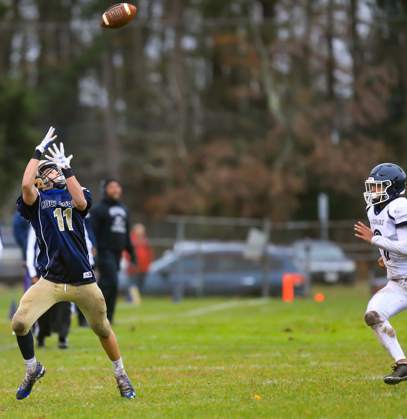 spt_HSFB